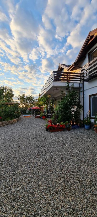 Casa Aryan Lägenhet Sînpetru Exteriör bild