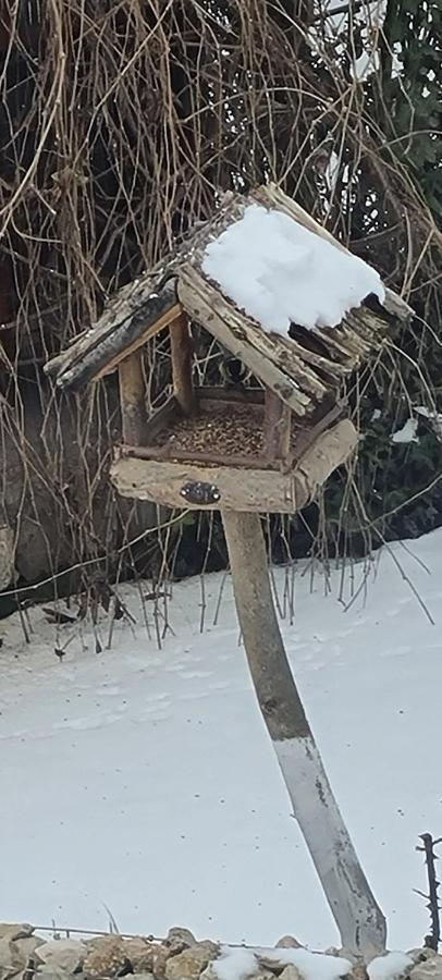 Casa Aryan Lägenhet Sînpetru Exteriör bild