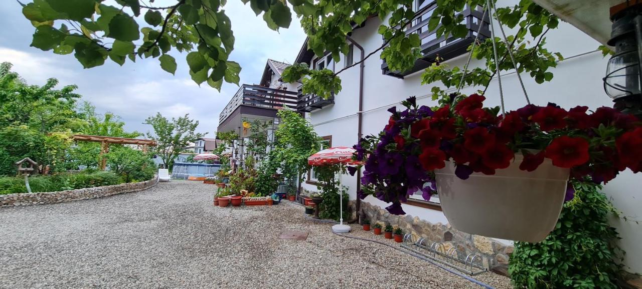 Casa Aryan Lägenhet Sînpetru Exteriör bild