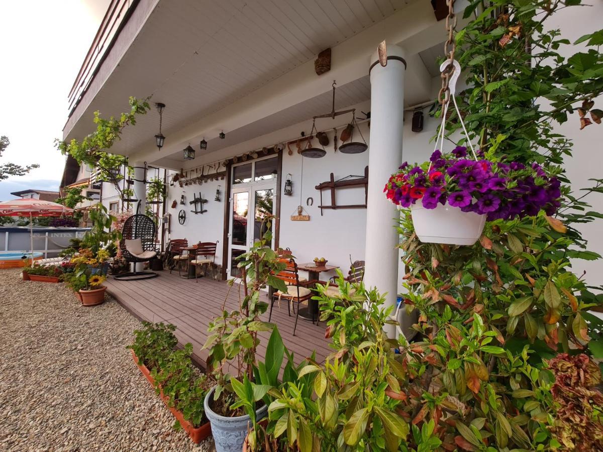 Casa Aryan Lägenhet Sînpetru Exteriör bild